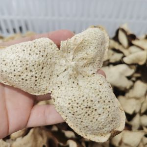 2023年梅江大红皮