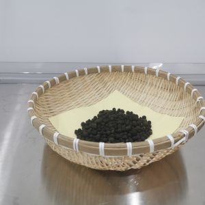 2023年新会东甲柑胎