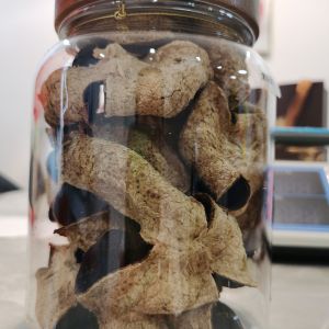 2017年驳枝冬后陈皮