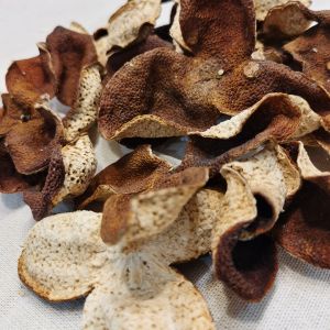 2020年南坦圈枝大红皮